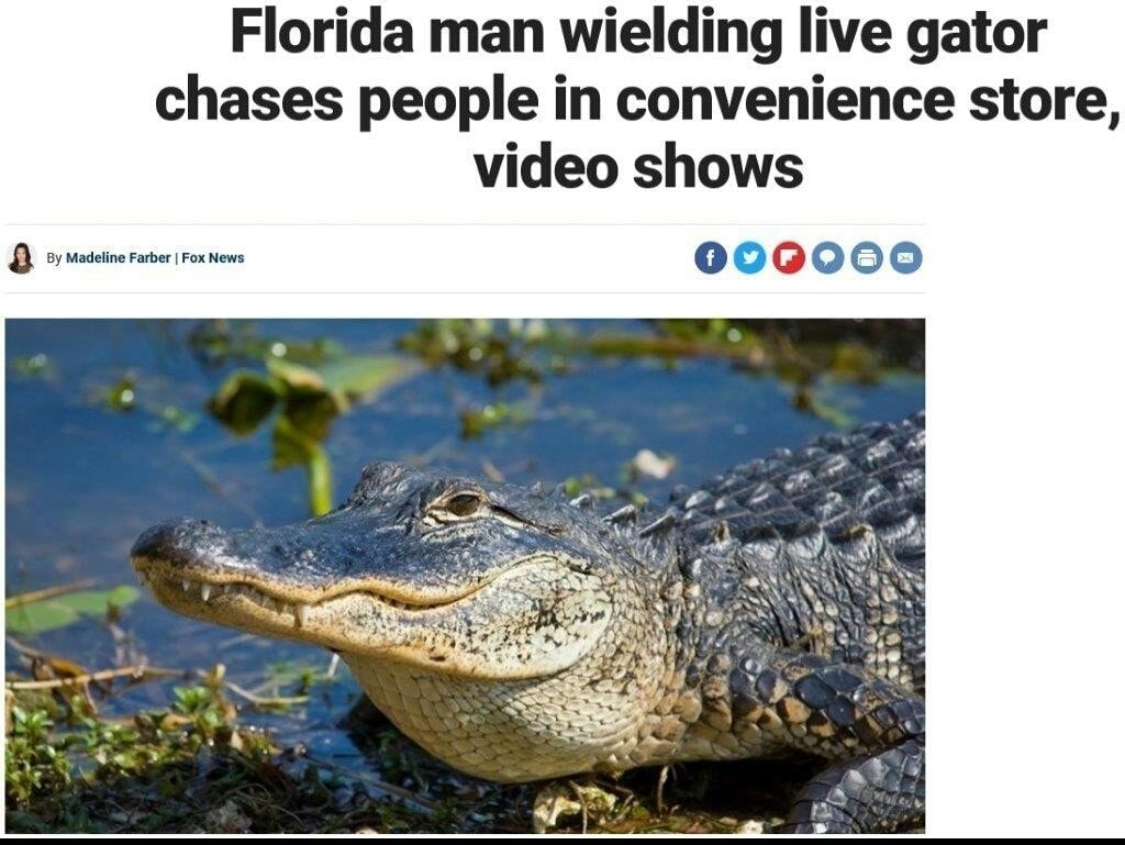 Florida Man Alligator Meme - Meadow Dixon