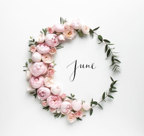 hello june on Tumblr