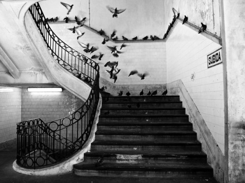 photo-reactive:Mercado do Bolhão, Porto by Henri Cartier-Bresson