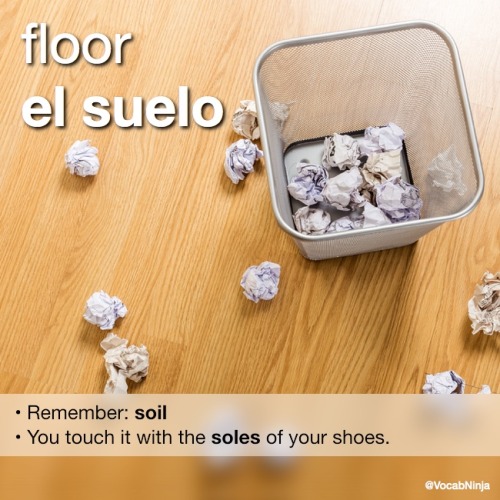 daily-spanish-word
