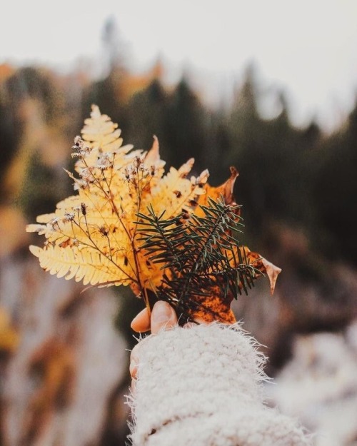 La magia del otoño - Página 9 Tumblr_pgwrrsxiws1u1harx_500