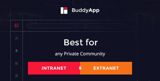 BuddyApp v1.7.5 – Mobile First Community WordPress Theme Nulled