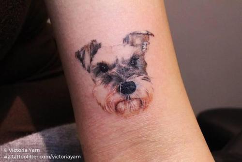 By Victoria Yam, done in Hong Kong. http://ttoo.co/p/29404 schnauzer;small;pet;dog;patriotic;bicep;animal;watercolor;germany;facebook;twitter;victoriayam;portrait;illustrative