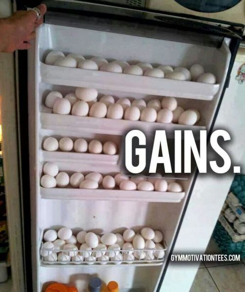 yeah yeah gains