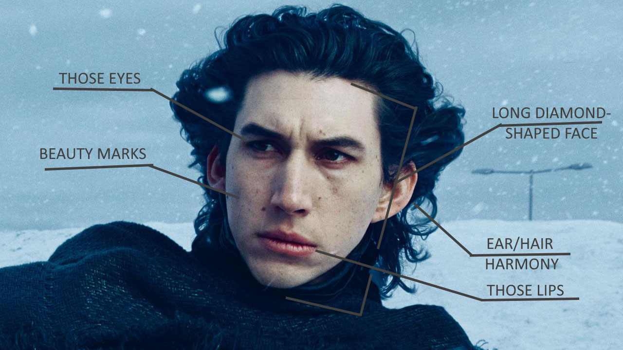 Adam Driver’s Face - Kinda shy for a Jedi.