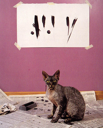 Princess' 'Regularly Ridiculed Rodents', 1993.