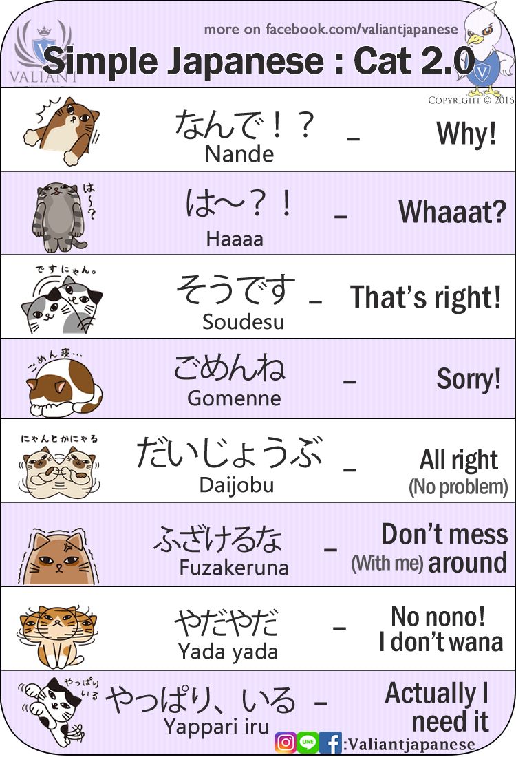 japanese-phrases-learn-japanese-words-basic-japanese-words