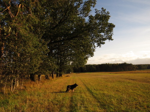 Some pictures from a walk in the woods today