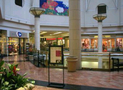 “This is the Tower Place Mall in downtown Cincinnati. I haven’t...