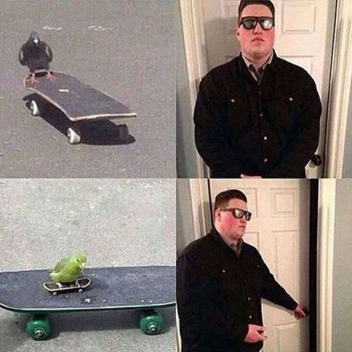 Skateboarding Memes