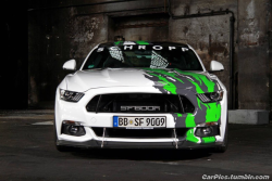 @Mustang Fanatic