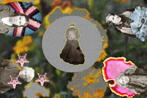 art color halftone aquatic ocean sea life 1920& 039;s mugshots repurpose mixed media black and white color photography mine