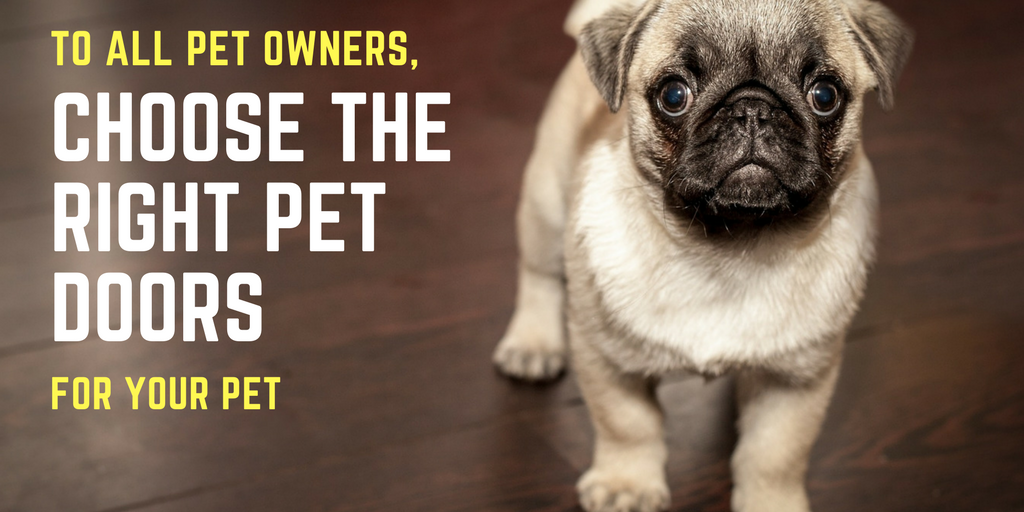 Pet Doors Australia