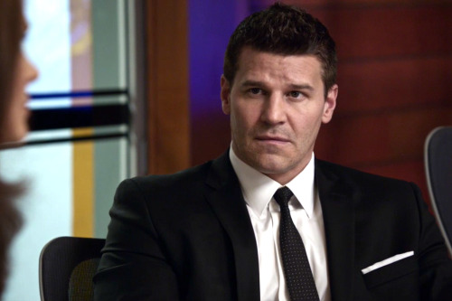 special agent seeley booth on Tumblr