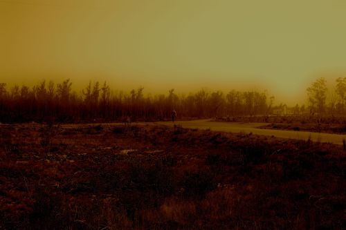 photography-is-silence-fiction