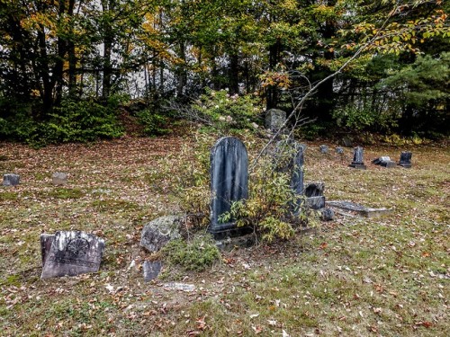 swforester:broken and overgrown gravesRestland Cemetery...