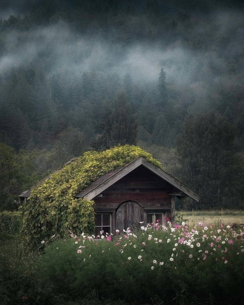 evilbuildingsblog:A cottage sat before a field of wild flowers...