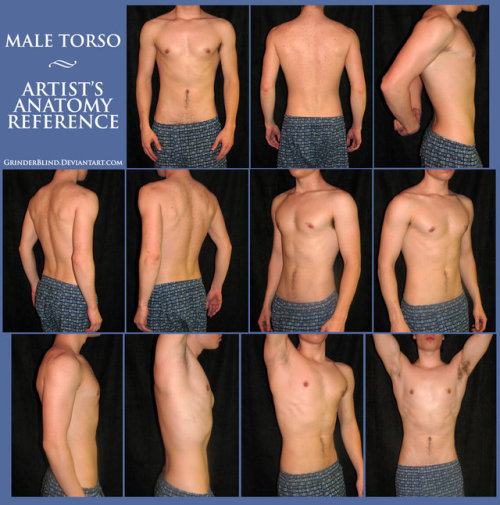 drawingden:Male Torso by GrinderBlind