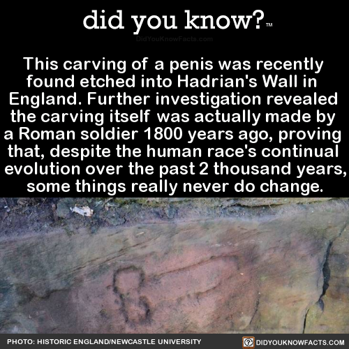 this-carving-of-a-penis-was-recently-found-etched