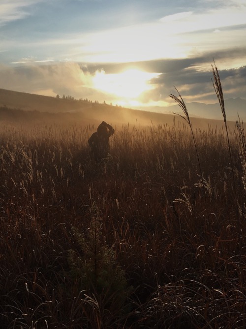 mobilephotography chasingfog fog foggy morning sunrise landscape vsco vscocam Nagano
