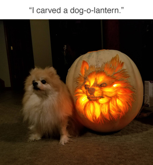 tastefullyoffensive:Pompkin (by DoggieDoc83)