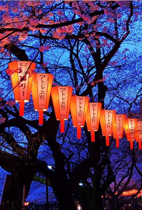 japanese lanterns on Tumblr
