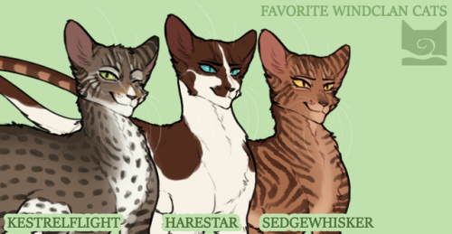 blistorrow:Favorite kitties ✨