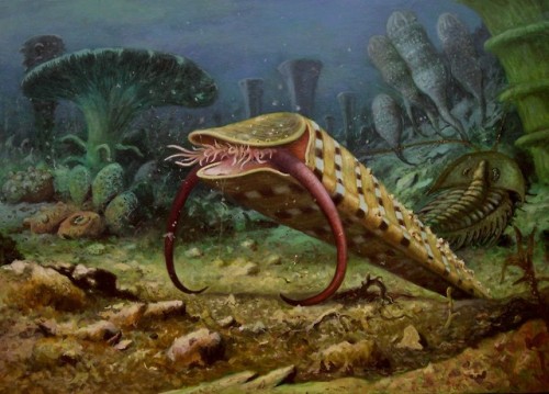 Hyolithes, the Cambrian Soldier, Emiliano TrocoLife is easy to...