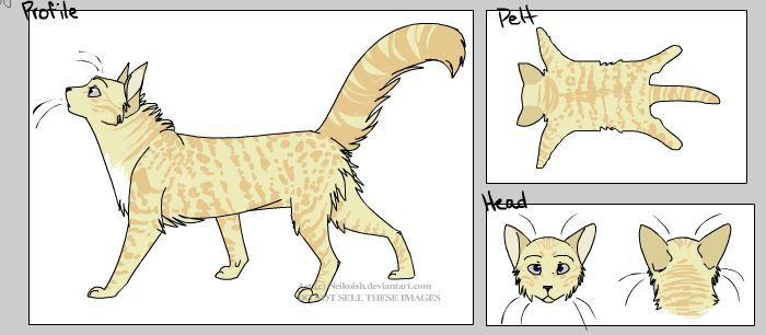 Tyleca's Future Cats Tumblr_o6xz0aC0VG1v8lmm7o1_1280