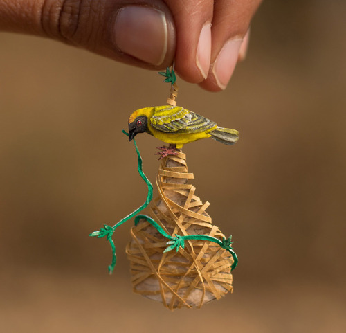 itscolossal:365 Days of Miniature Cut Paper Egrets, Sparrows,...