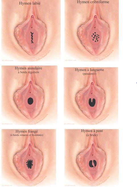 Muslim virginity sexually active