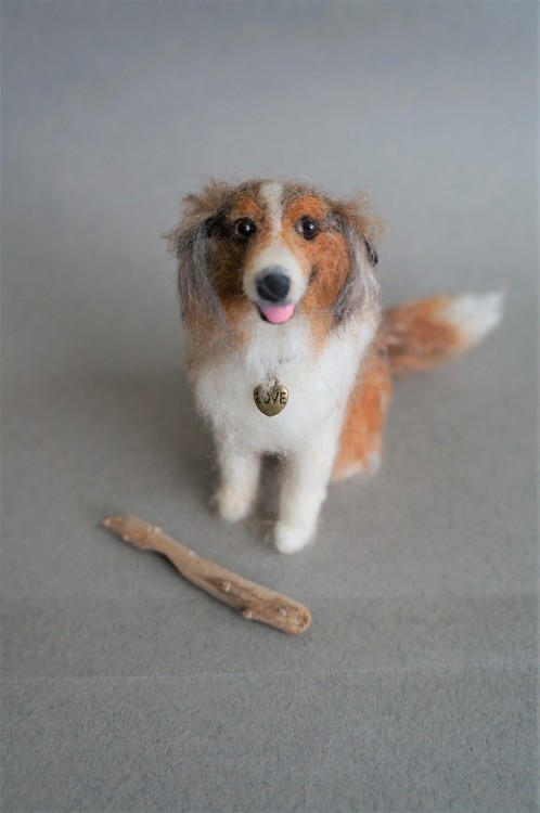 janetsneedlefelting:A needle fetled Aussie Sheltie mix with a...