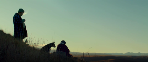 filmilms:Hunt for the Wilderpeople (2016)Trees. Birds. Rivers....