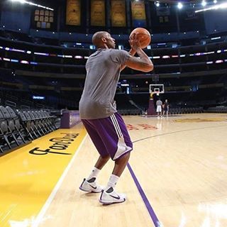 kobe x shorts