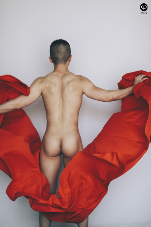 gayartplus:This series explores a particular subject of...