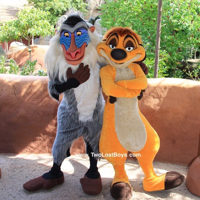 Character Central • We had fun meeting Rafiki and Timon at Disneyland...