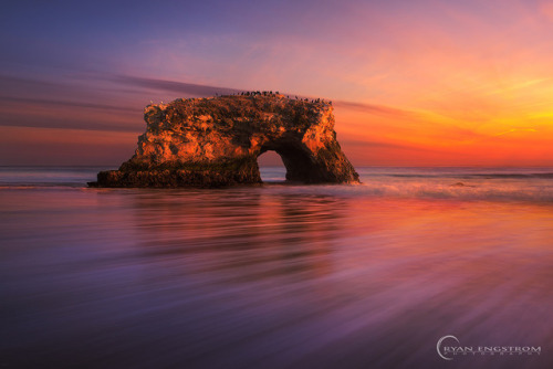 Rodeo Beach &Natural BridgesbyRyan Engstrom