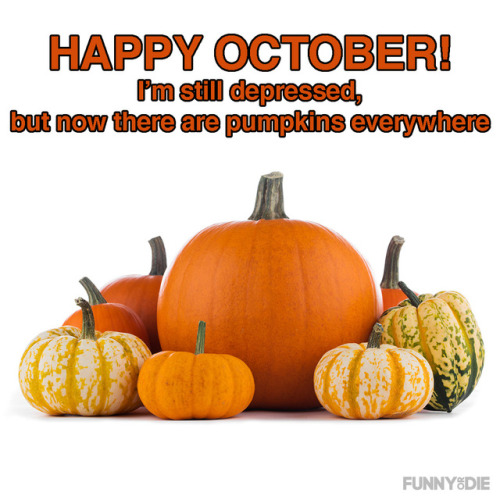 funnyordie:Yay, pumpkins…