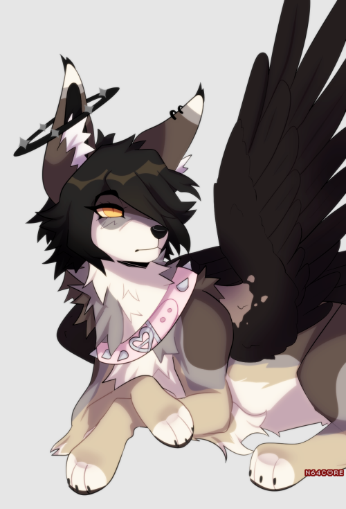 hollyleaf