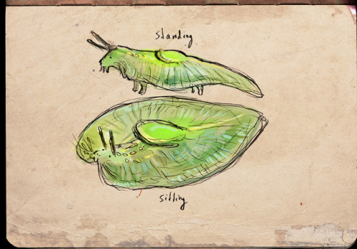 slug with legs | Tumblr