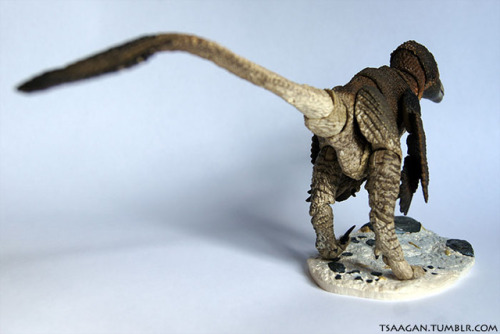 tsaagan:Beasts of the Mesozoic: Raptor Series 1/6th scale...