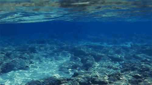 Sous l'océan ~ [PV Grèce] Tumblr_np8cz2C1AI1qczawho1_500