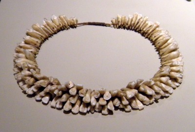 Human Tooth Necklace Tumblr