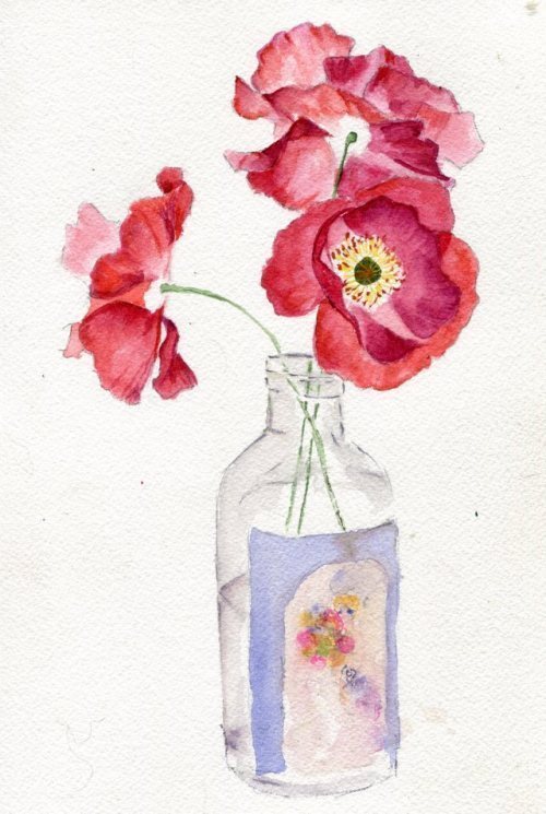 havekat:CoquelicotsWatercolor On Cotton Paper2017, 7″x...