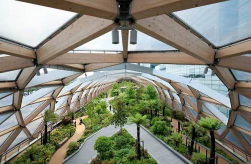 Foster + Partners with Gillespies Landscape Architects,...