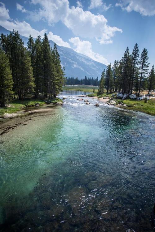 thebeautifuloutdoors:Lyell Canyon, Yosemite National Park...