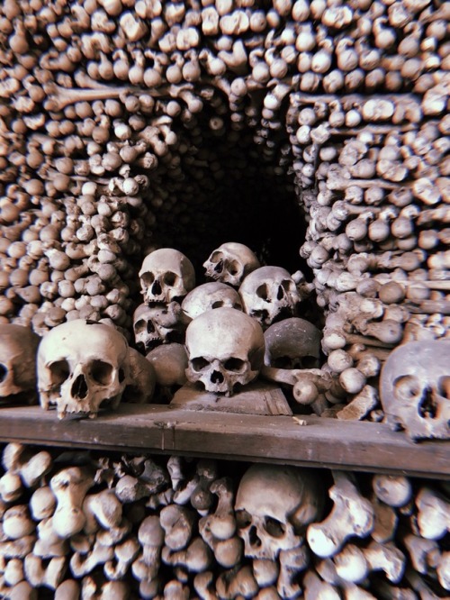 ghoulshavemorefun:Sedlec ossuary, Prague.