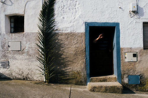 thingsdavidlikes