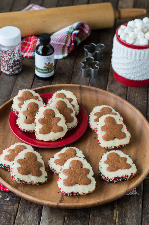 sweetoothgirl:Gingerbread Men Slice N’ Bake Cookies