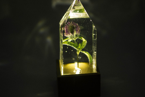 mossofthewoodsjewelry:Moss of the Woods Floral Prism...